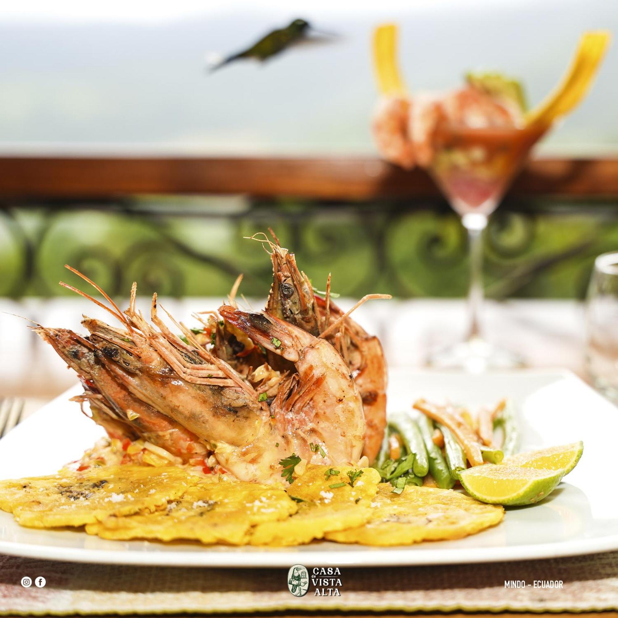 Casa De Vista Alta Hotel Mindo Ngoại thất bức ảnh